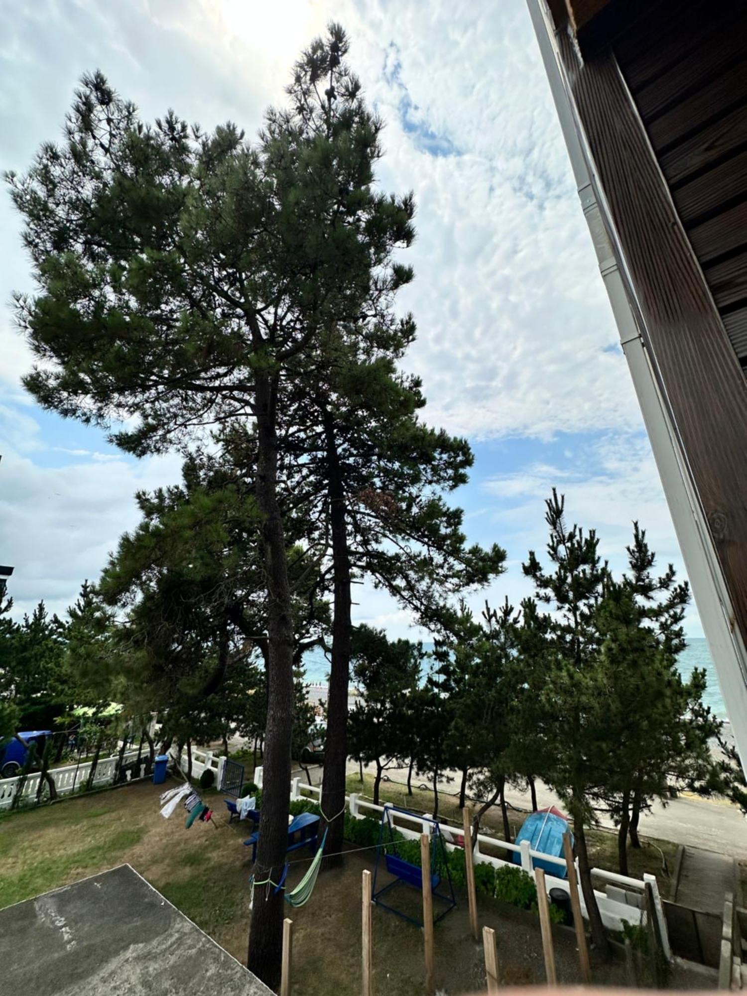 קובולטי Hotel Black Sea מראה חיצוני תמונה